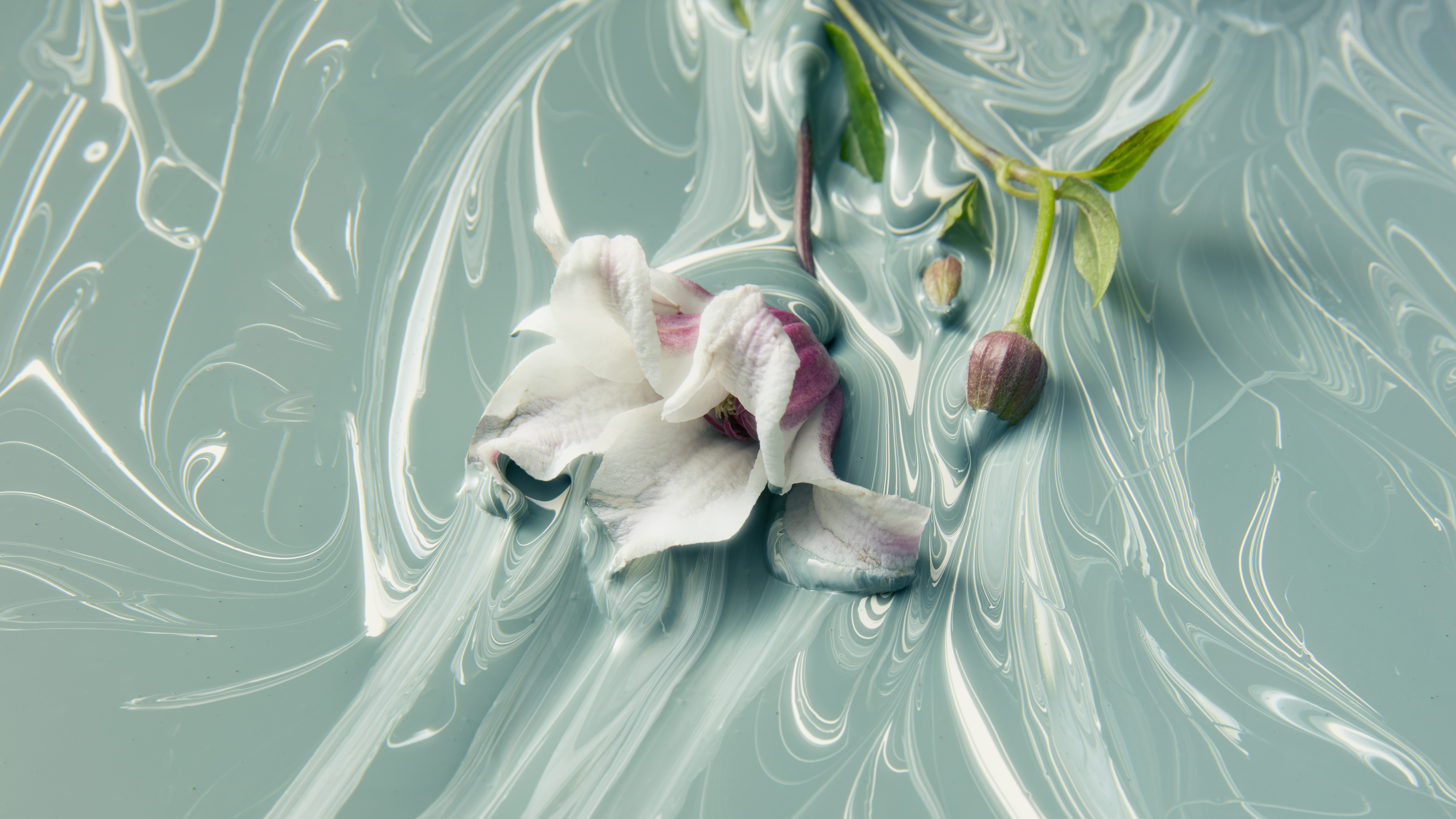 220413_Longo_Paint23970_01_web
